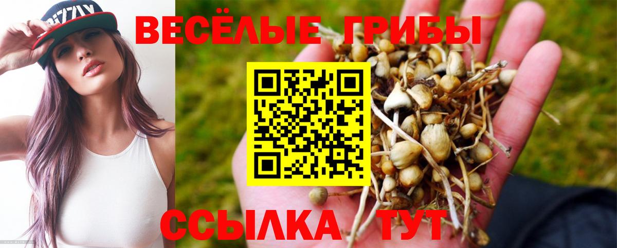 Псилоцибиновые грибы мицелий Троицк